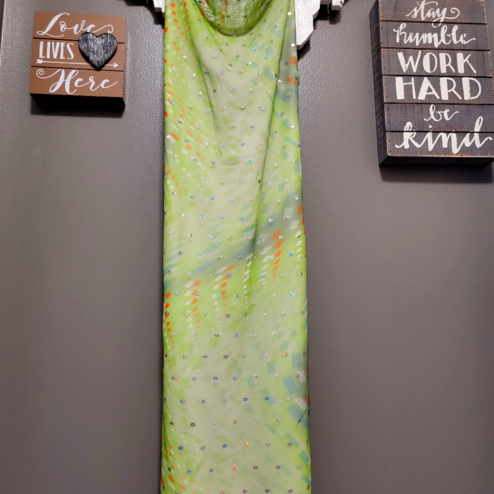 Size Large authentic Prada dress....very sheer amd pretty!  Paid 800 and wore 1x